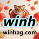 winhag.com favicon